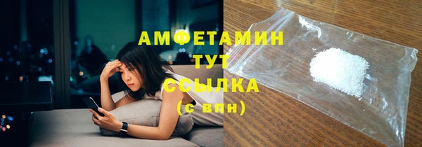 шишки Надым