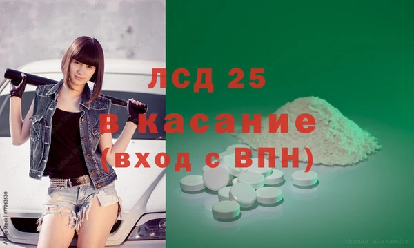 шишки Надым