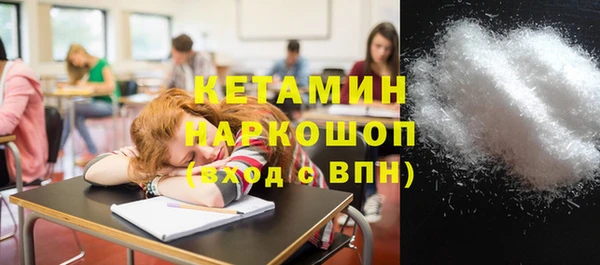 шишки Надым