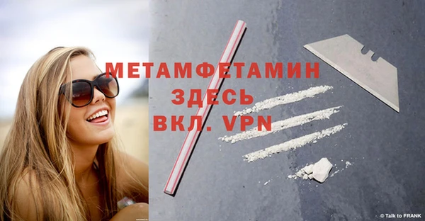 шишки Надым