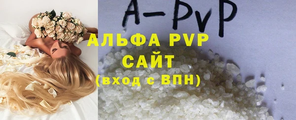шишки Надым