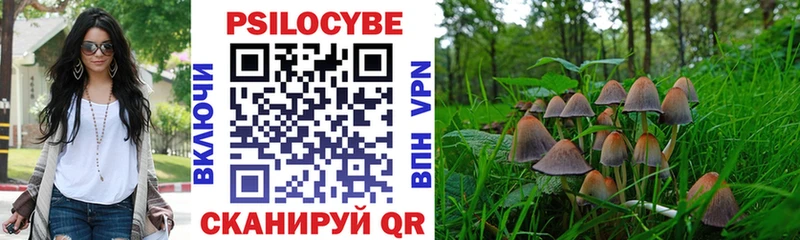 что такое   Зея  Галлюциногенные грибы Psilocybe 
